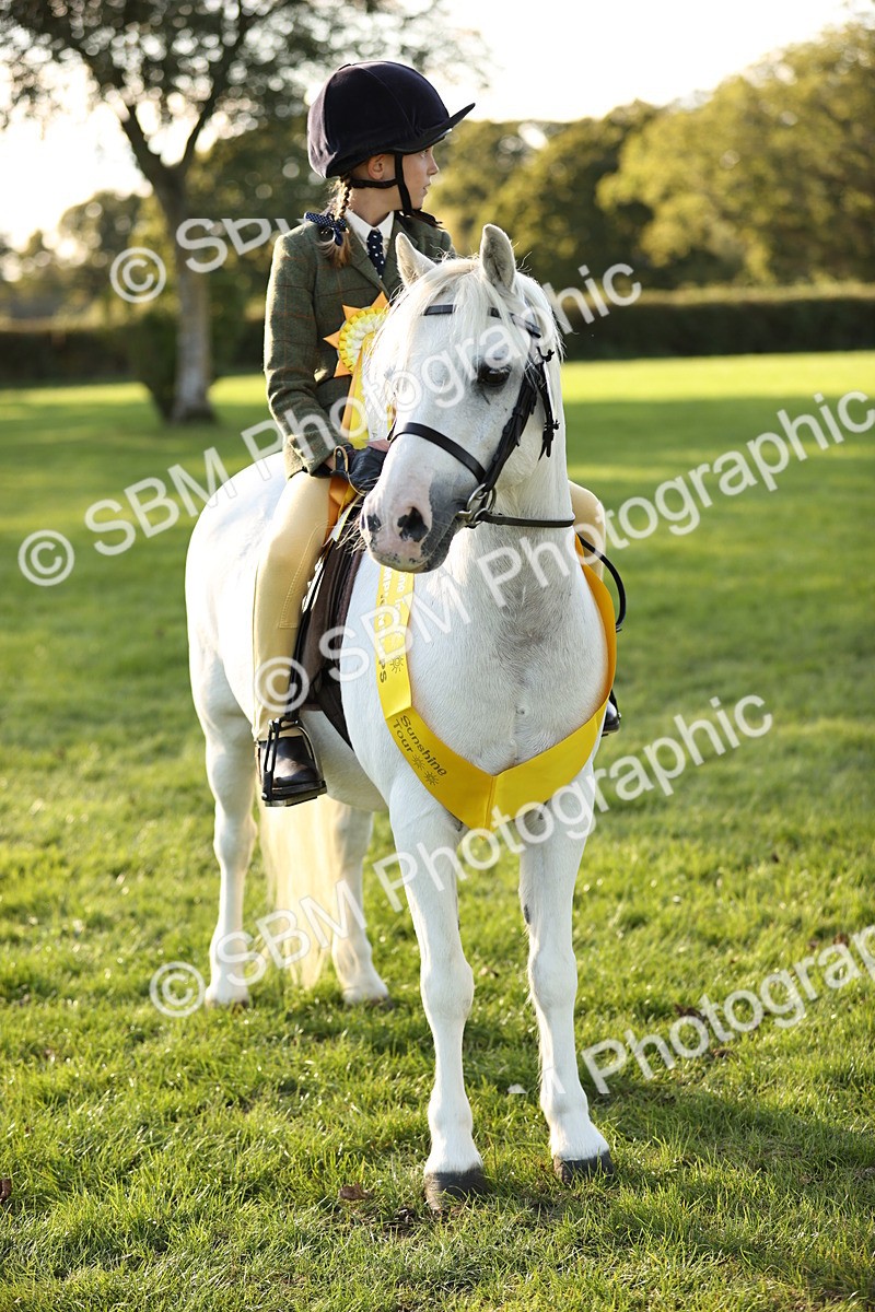 SBM_29483 - S7 - Novice & Newcomers Ridden Pony
