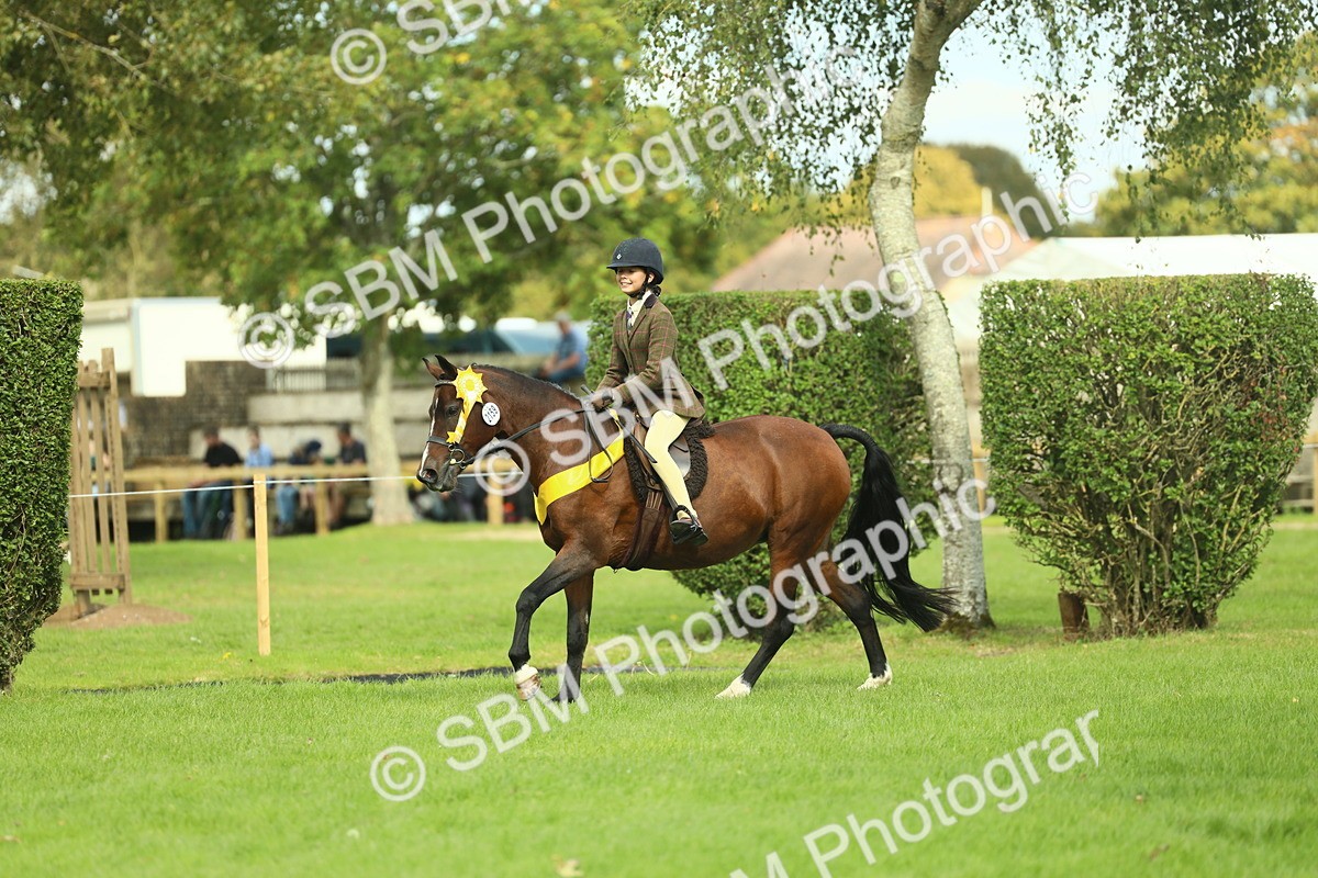SBM_44953 - Working Hunter Pony Supreme Championship