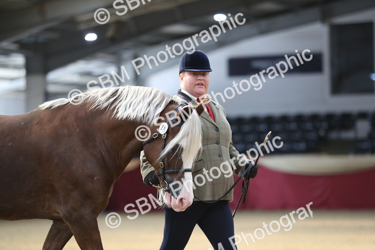 SBM_01277 - Class 3a Area IH Pre Vet