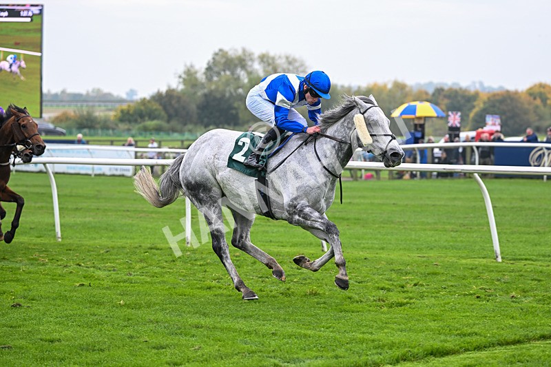 181025-Race 5-Mudamer-0852 - Race 5