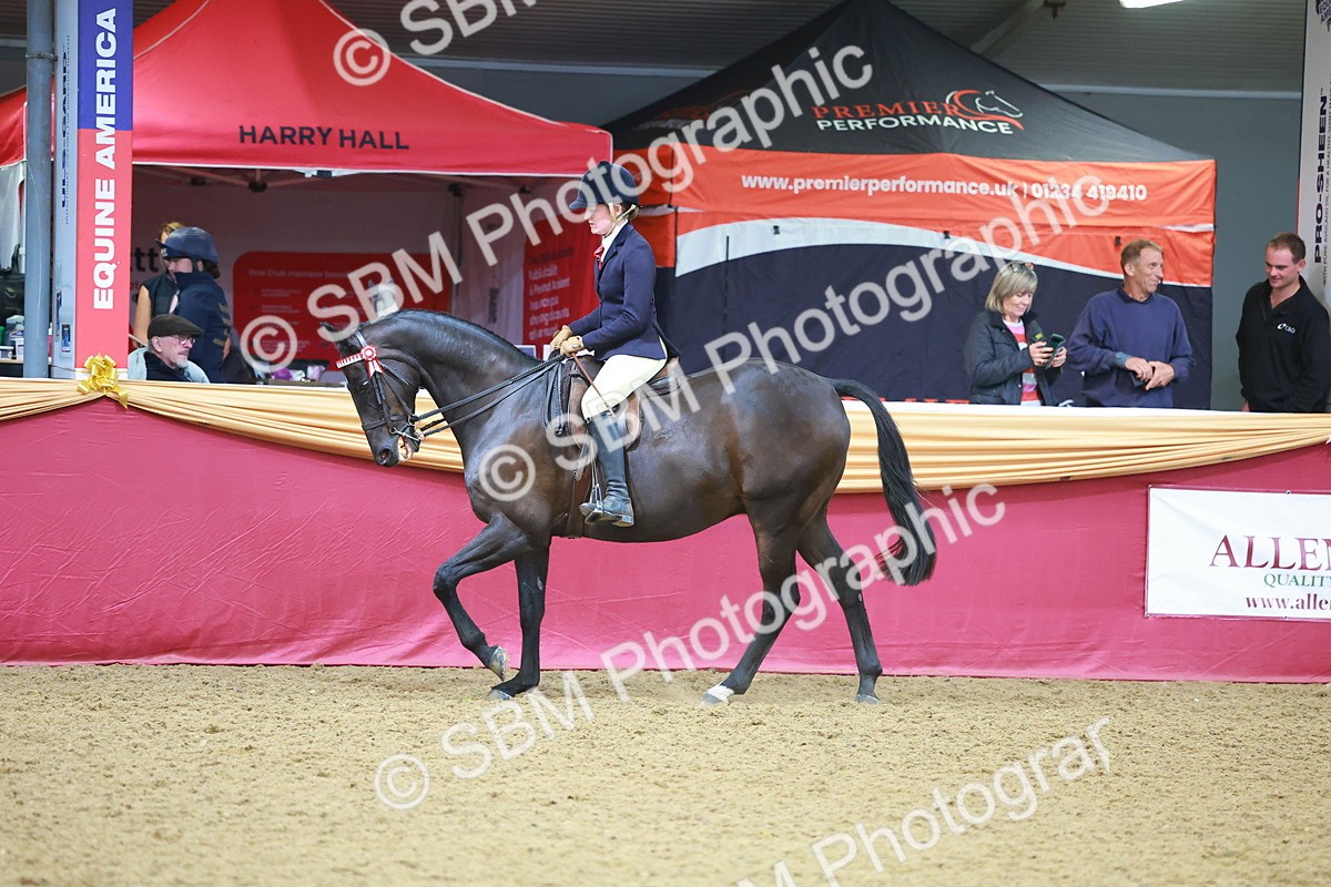 SBM_10667 - Class 103 - HOYS Veteran Qualifier - Ridden Pre Vet