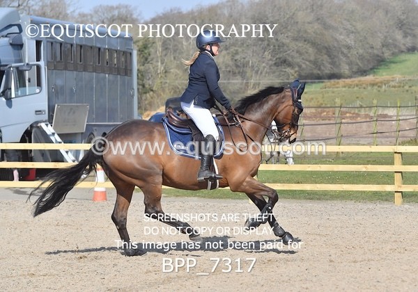 BPP_7317 - CLASS 2 Senior British Novice/ 90cm Open