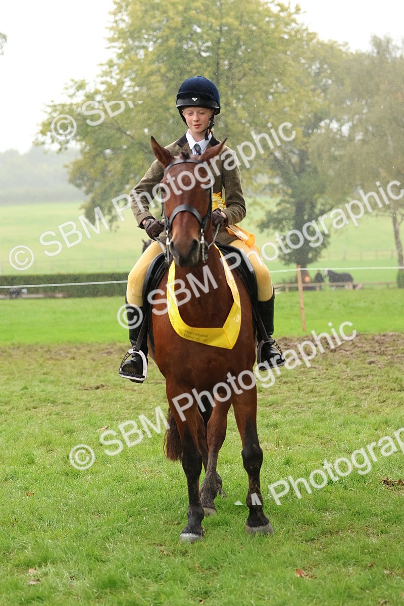 SBM_73078 - S63 Show Pony & Show Hunter Pony Ridden