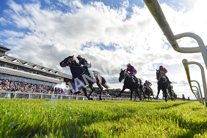 310526-Race 4-Brielle-3592 - Race 4 17.15pm Sky Bet Extra Places Handicap