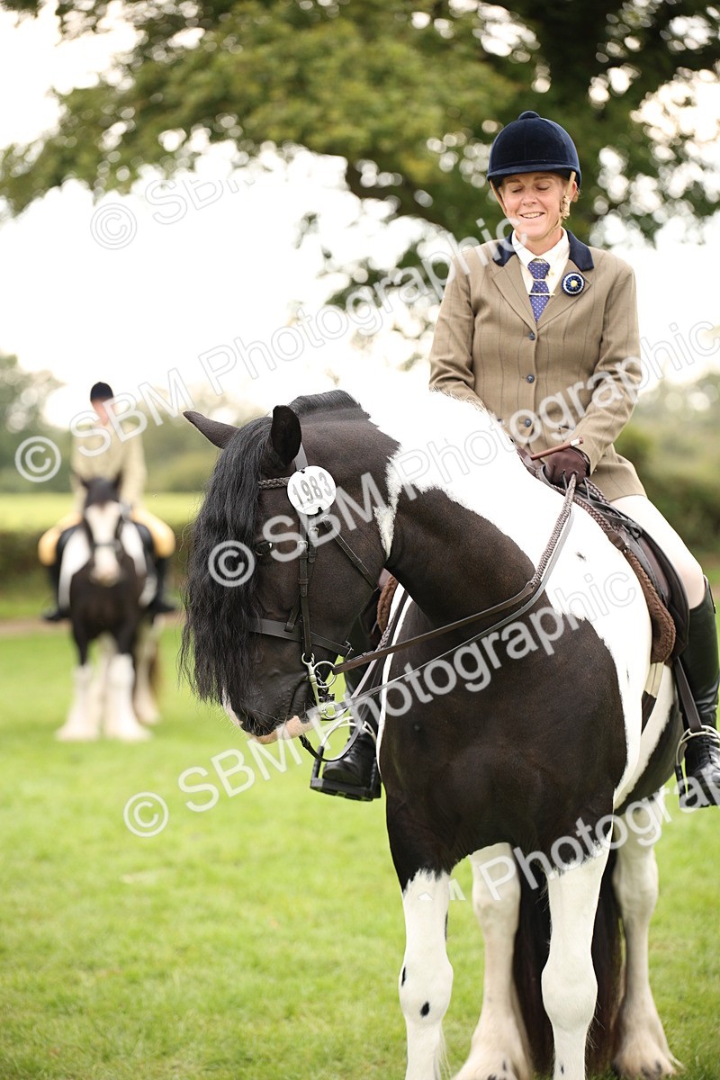 SBM_73572 - S68 - Traditional Cob Ridden