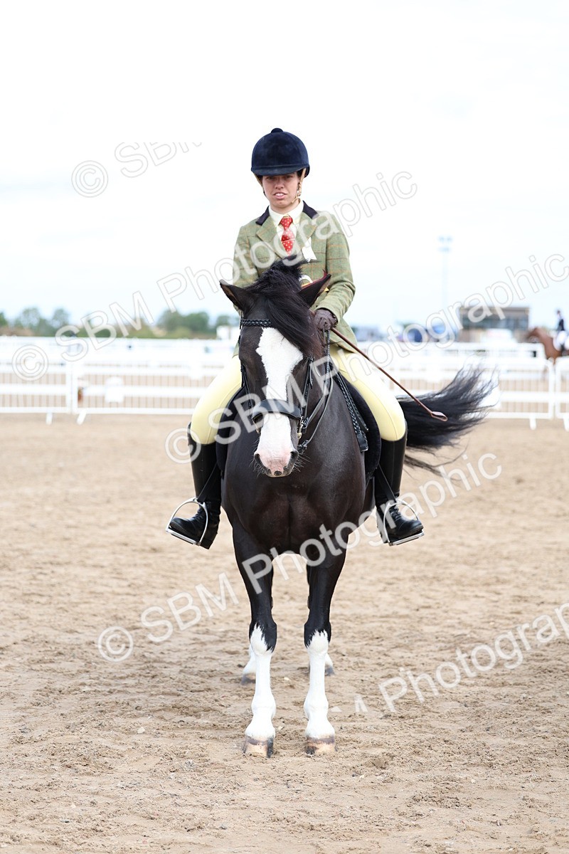SBM_01529 - Class 17 - Prettiest Mare
