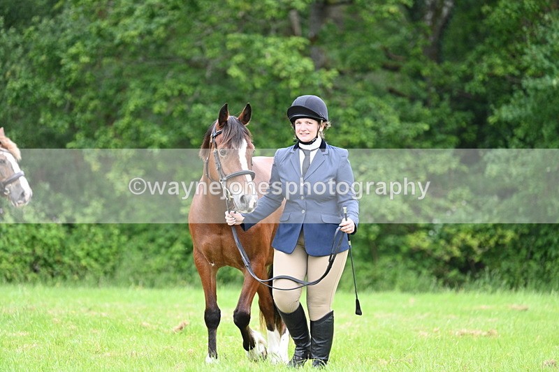 WJ7_4364 - Class 14B Prettiest Mare