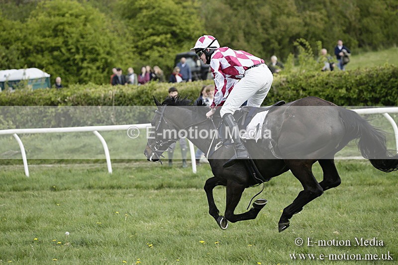 PtP 170417 381 - Old Berks Point-to-Point Lockinge 17/04/17