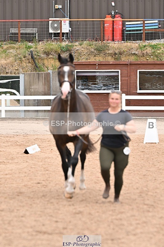 250716-144726-01399 - Trot Up 2.30 to 3.30