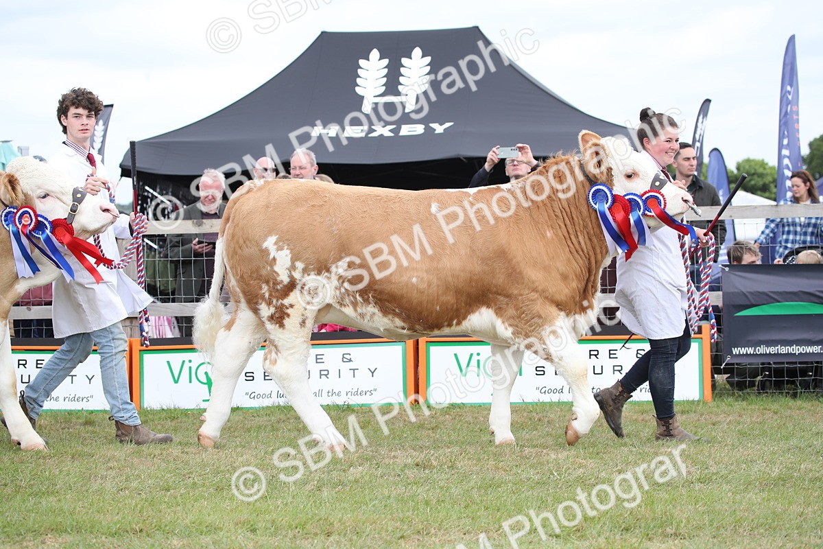 SBM_07867 - Grand Parade
