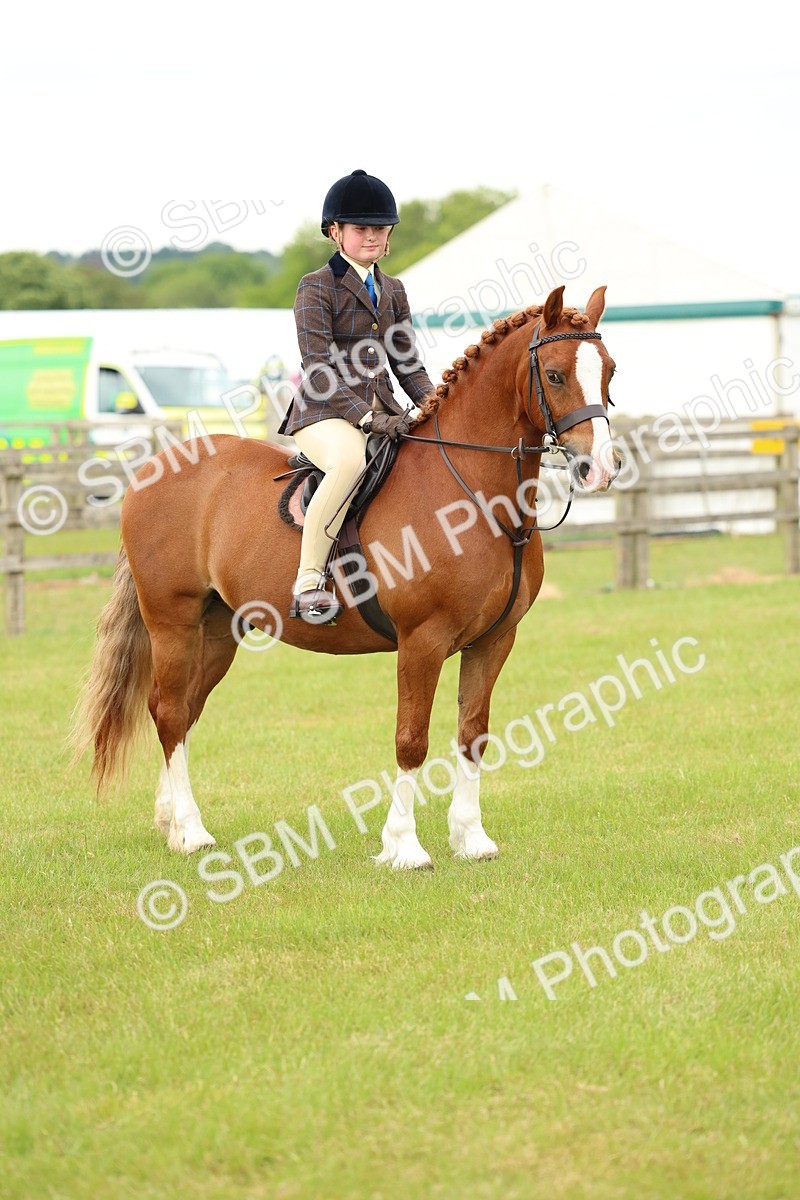 SBM_10399 - Class 44-45 - LIHS BSPS Open Nursery and Cradle Stakes