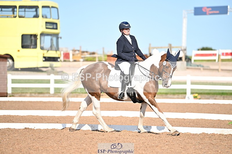 240816A-165107-06290 - 307-Rachel.Cook-Tiger.lily.vi