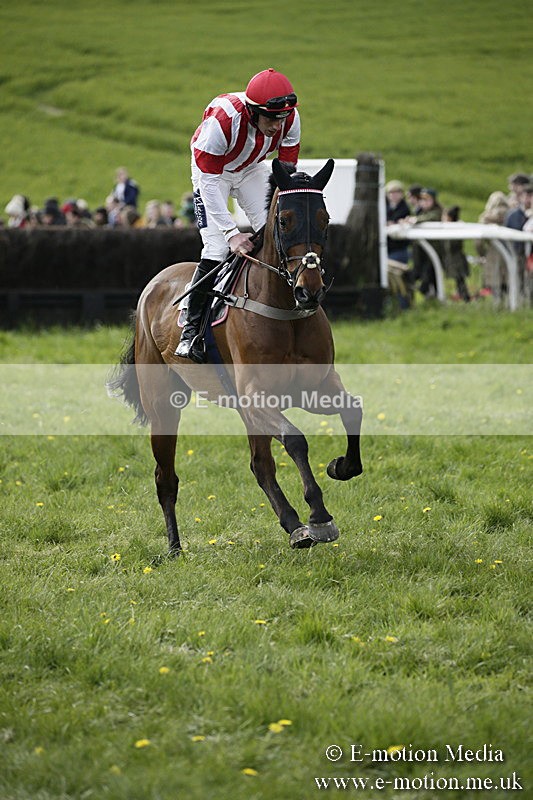 PtP 170417 415 - Old Berks Point-to-Point Lockinge 17/04/17