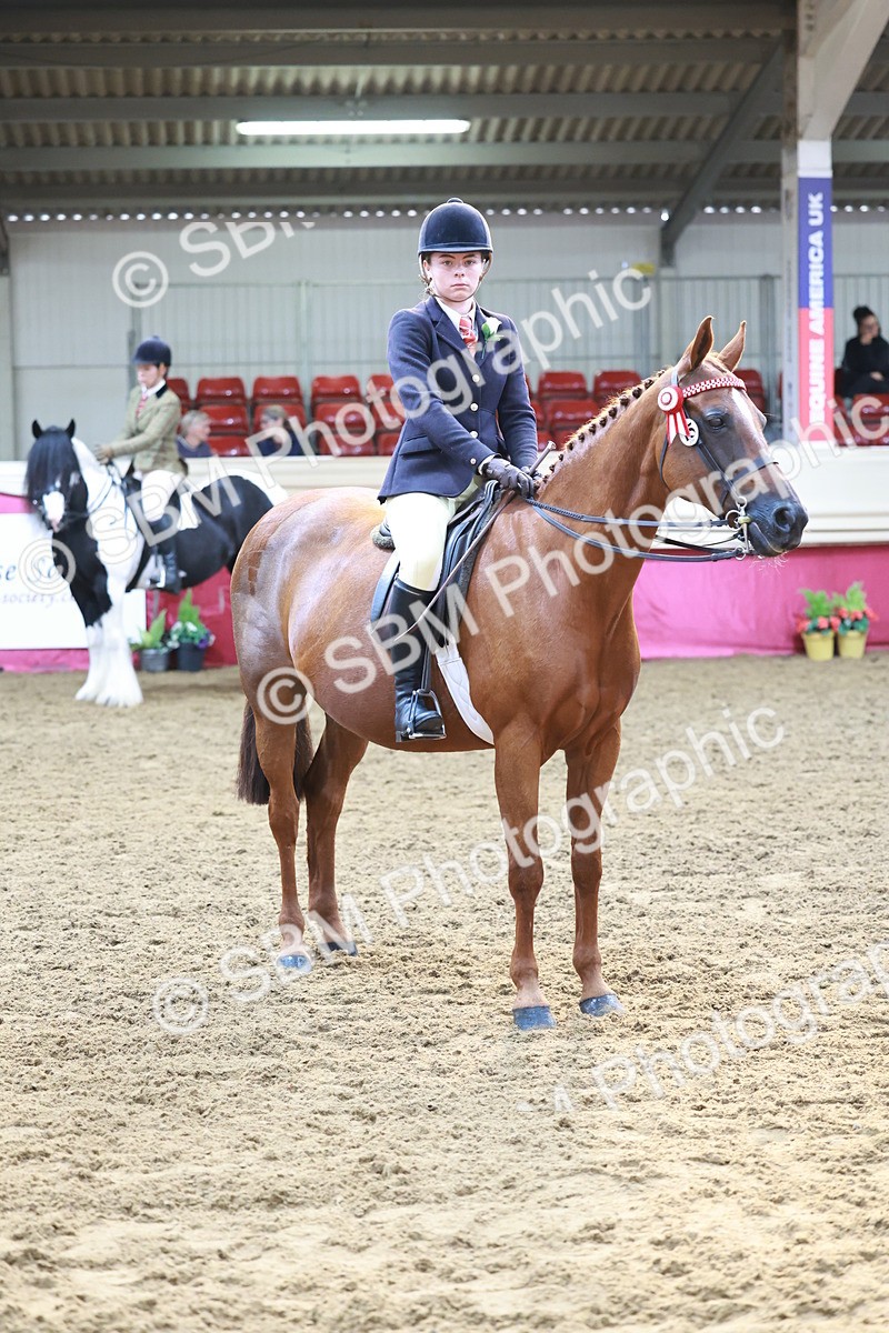 SBM_11979 - Class 102 - Equitation (Best Rider) Adult