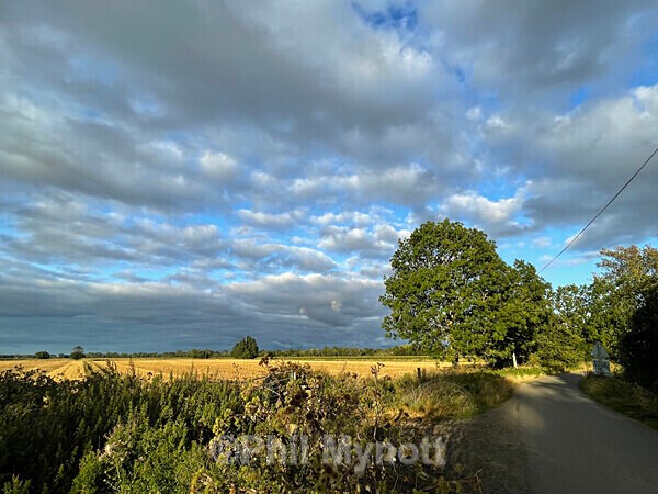 PhotoMynottART089 - Photo Mynott ART Images