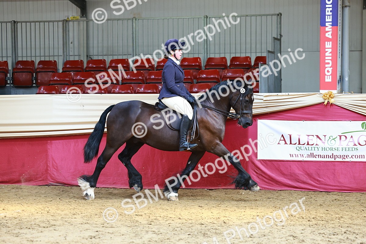 SBM_23881 - Class 905 - Supreme Final - Ridden Veteran