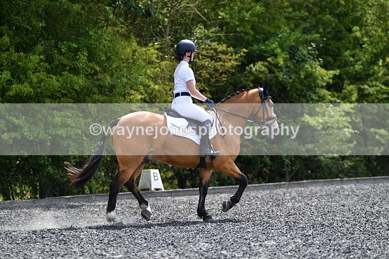 WJ5_0975 - Time 13:45 to 14:20