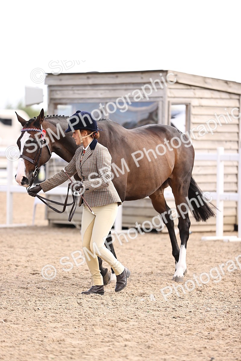 SBM_11541 - Class 407 - IH Hack-Riding Horse