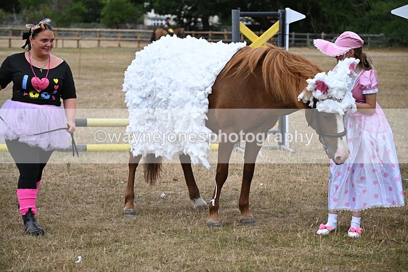 WJ6_8723 - Class 11 Fancy Dress