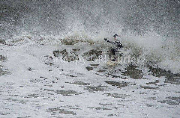 DSC_1752 - Cayton Bay - 11th April 2017