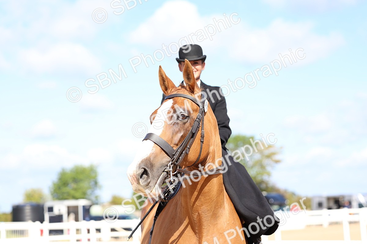 SBM_11236 - Class 306 - Ridden Foreign Breeds - Part Bred