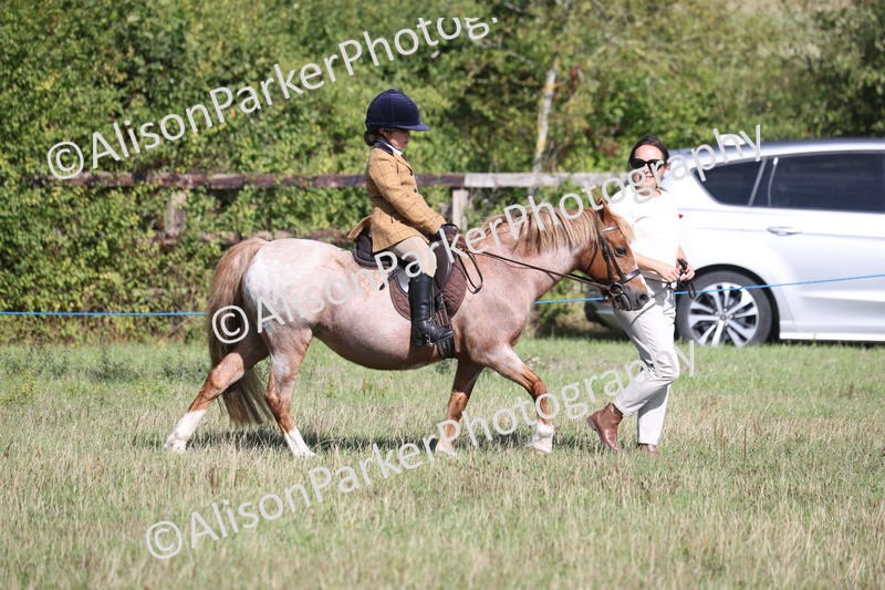 20260906-2140 - Class 16 - Family Pony
