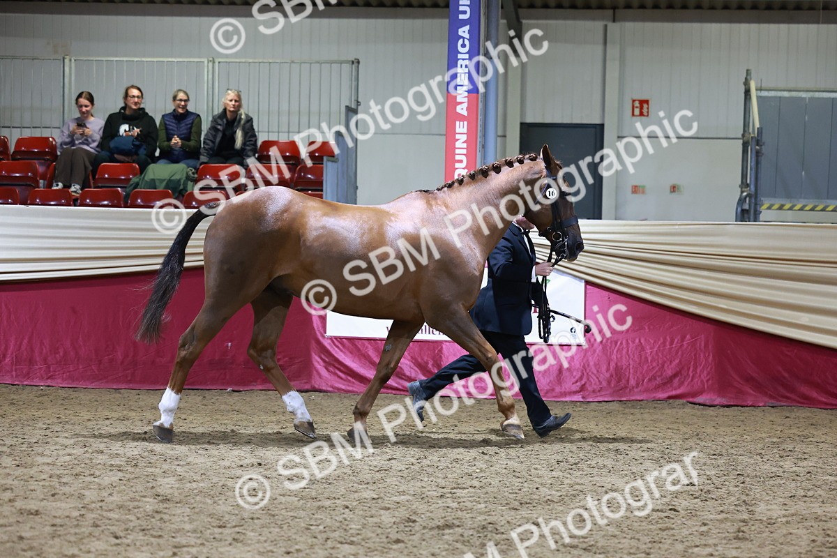 SBM_21500 - Class V - Champion of Champions