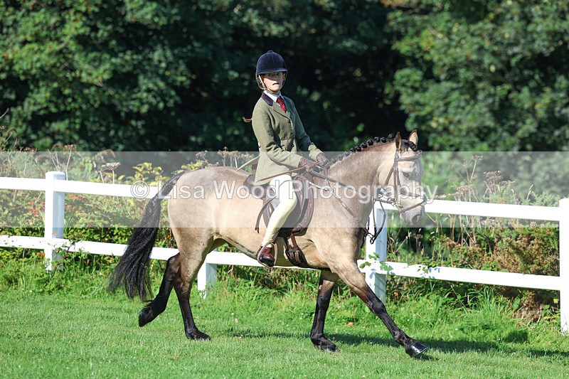 3E7A7840 - Class 2: Open Working Hunter pony