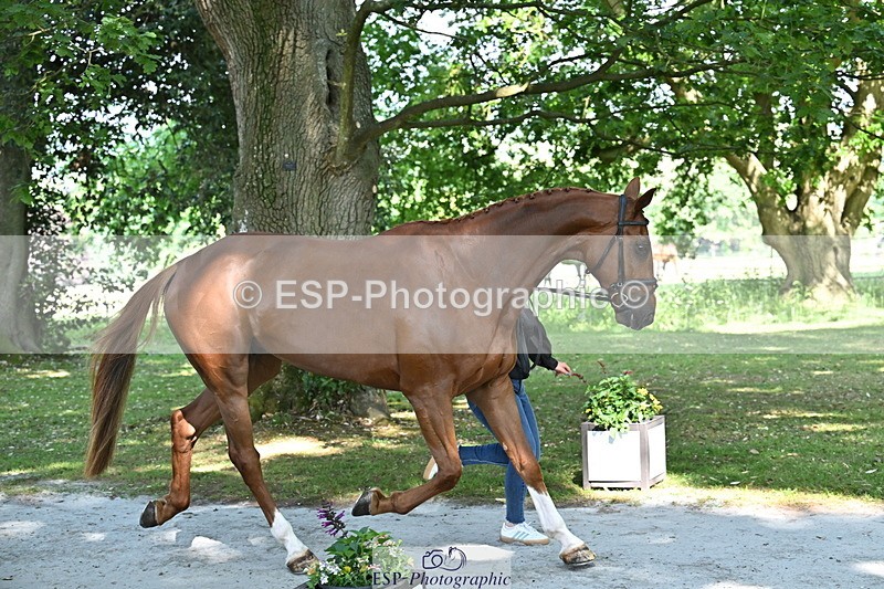 250521A-153835-00659 - B-322-Amelia.Winter-WOLK