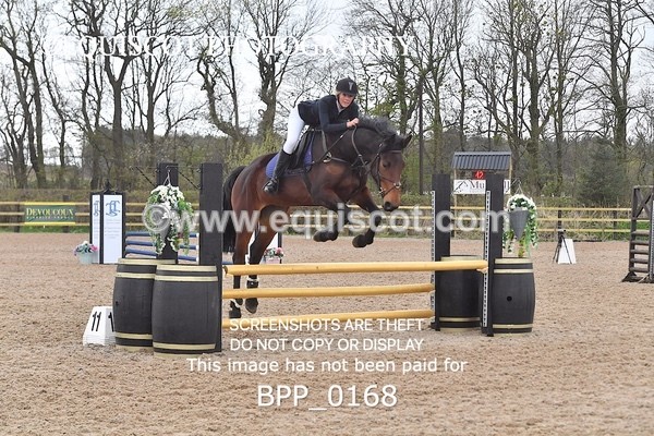 BPP_0168 - CLASS 1 FRI Club/ Unaffiliated 80cms Open