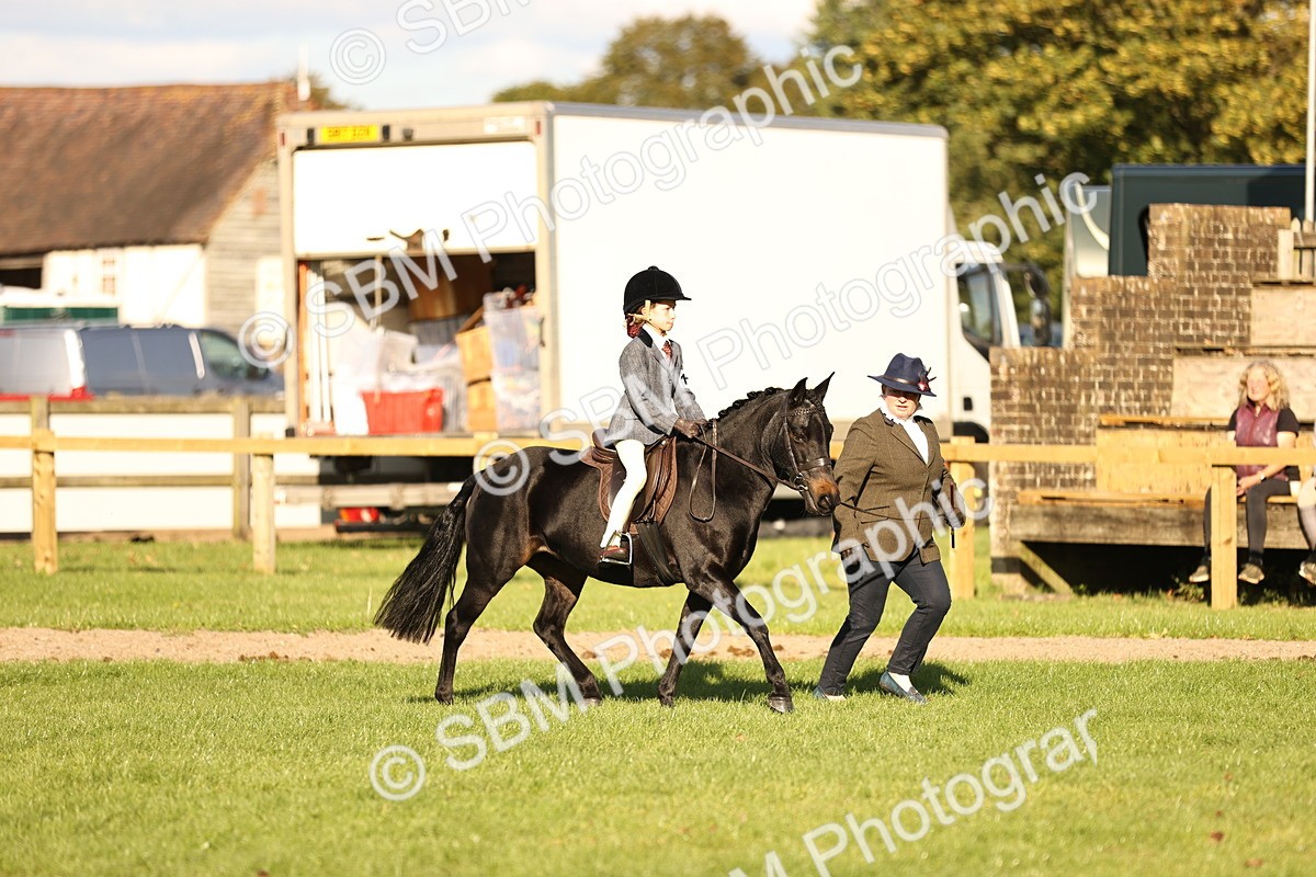 SBM_29380 - S7 - Novice & Newcomers Ridden Pony