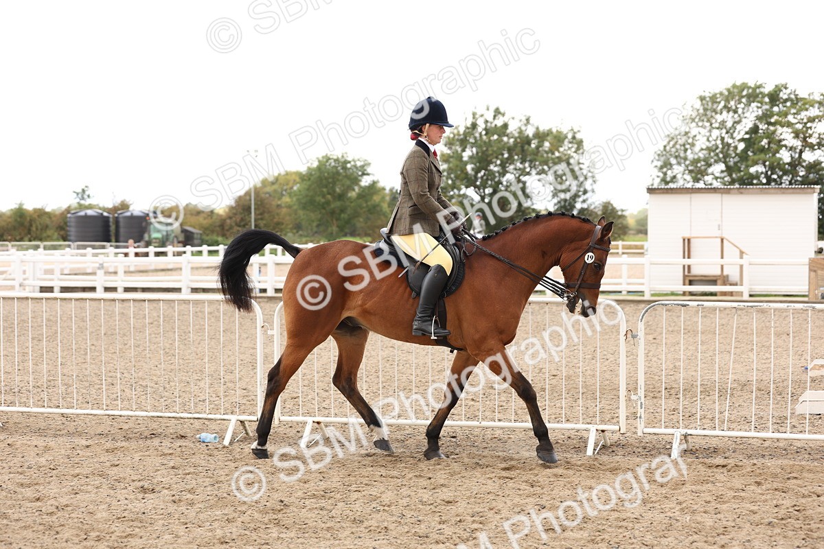 SBM_04185 - Class 54 - Riding Club Horse/Pony