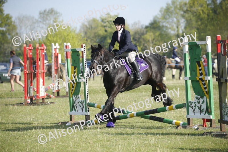 20250427-0224 - Class 12 - Rookie Jumping 40cm