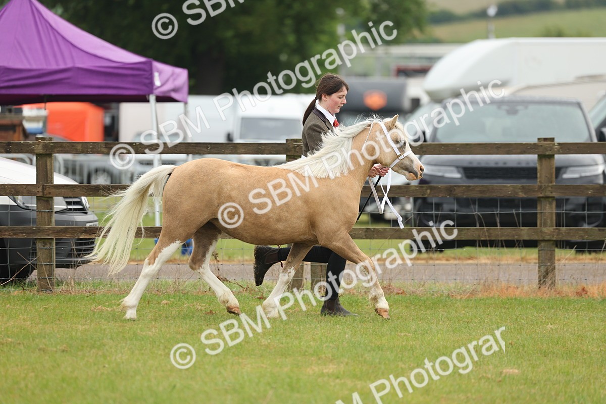 SBM_01346 - Class 50-57 - M&M Welsh Pony In Hand
