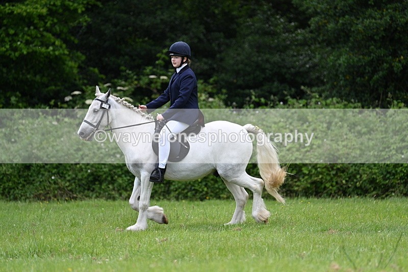 WJ7_2617 - Class 12A Coloured Class