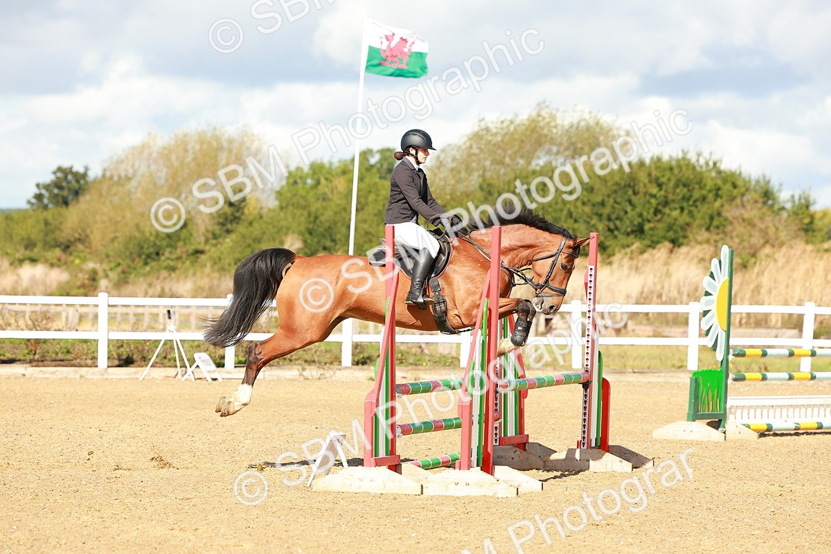 SBM_000500 - Class 2 - Senior British Novice - 90cm