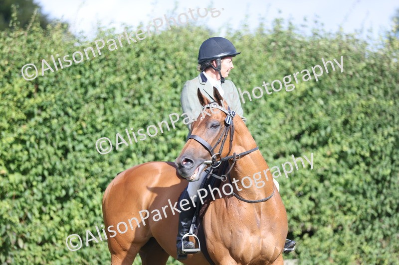 20250831-0835 - Class 14 - Ex Racehorse