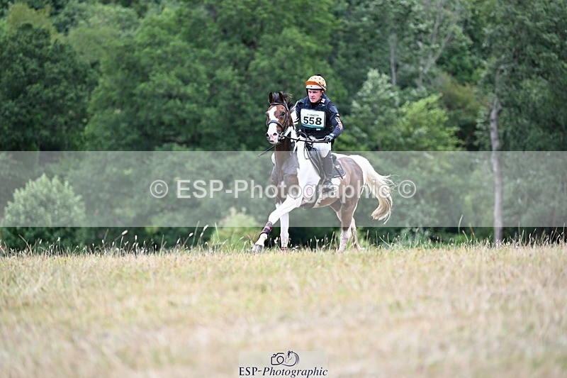 250803A-123959-13263 - M-558-Theo.Funnell-CARLOMAN.C