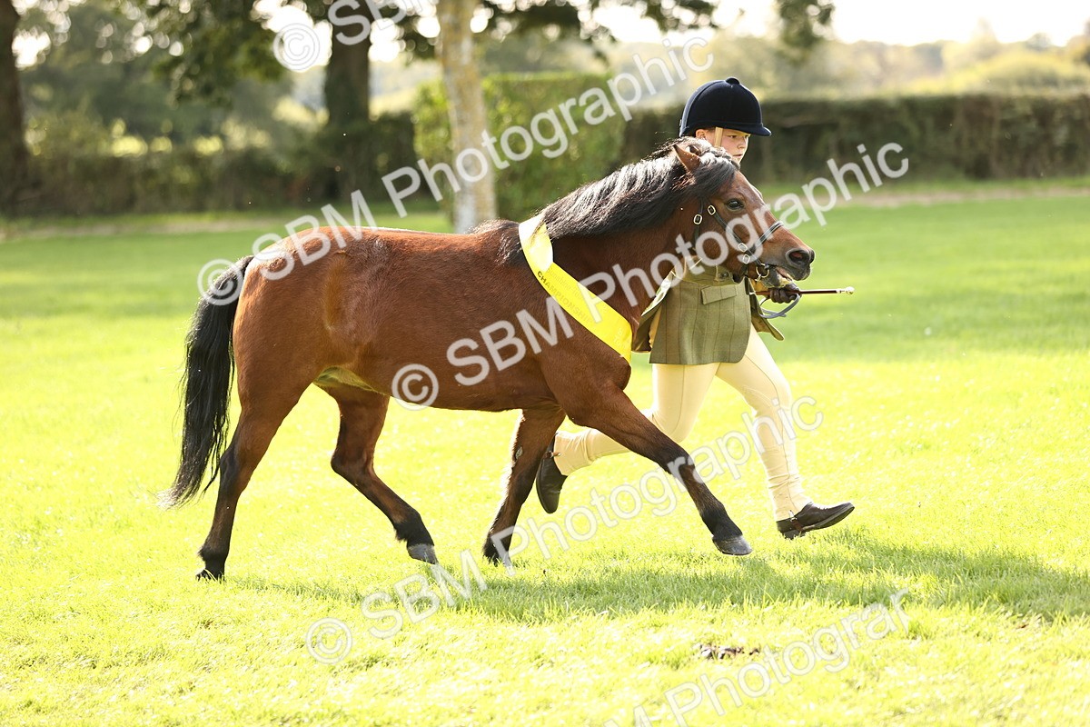 SBM_26305 - S5 - Novice & Newcomers In Hand