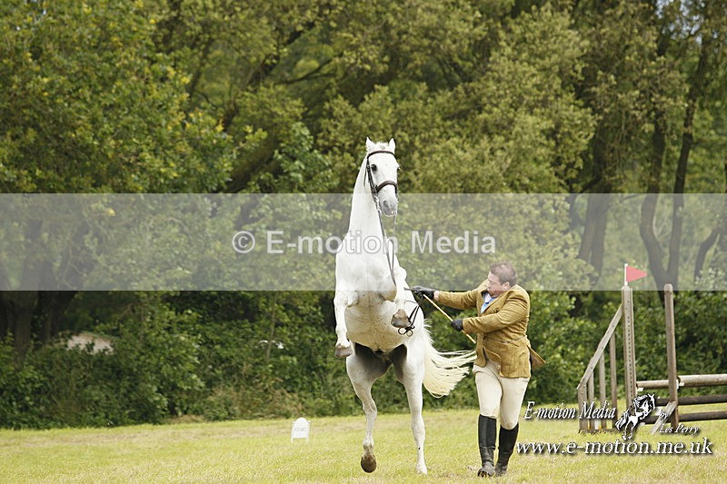 GRH 080712 295 - Barbury
