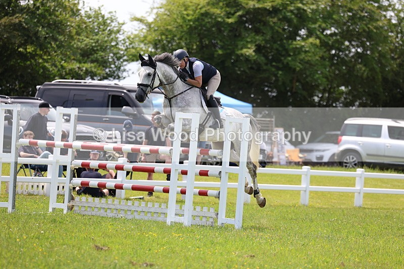 3E7A1399 - Class 12: Senior Foxhunter/1.20 open