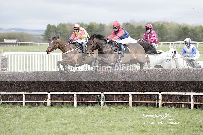 PtP 260323 0382 - New Forest Hounds Point-to-Point Larkhill 26/03/23