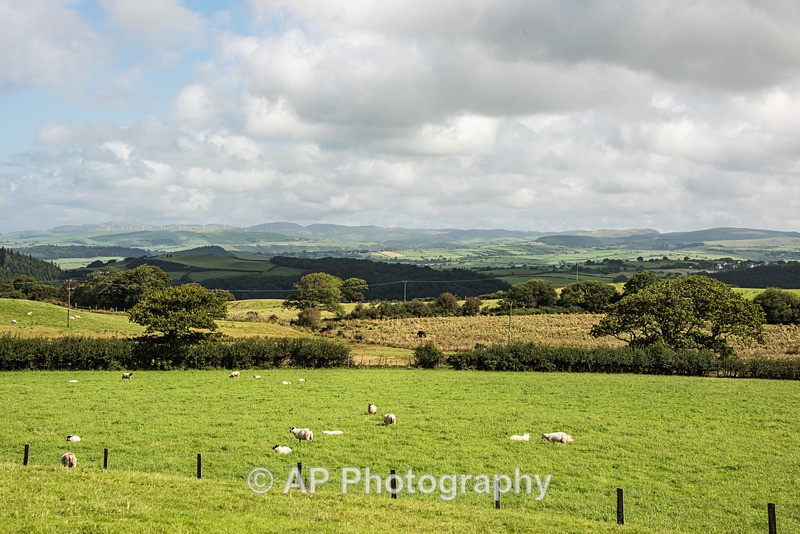 ACP_2442-1 - Rural Views