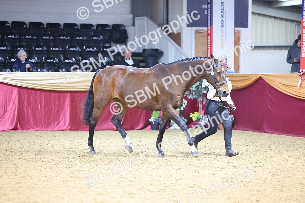 SBM_21006 - Class 902 - Supreme Final IH Veteran