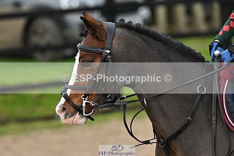 241110-114047-00494 - 50-55cm Arena Eventing