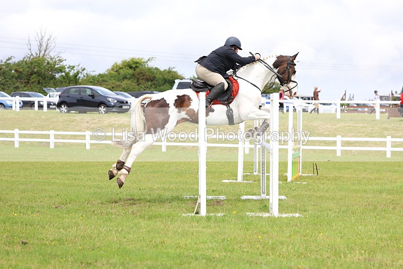 3E7A6787 - Class 11: Senior Newcomers/1.10 open