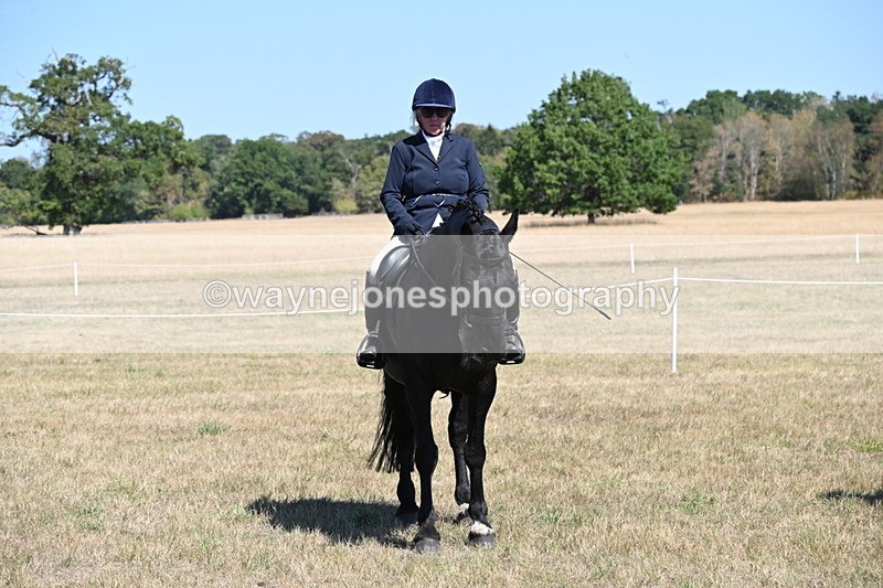 WJ6_8416 - Class 37a Best Loan Pony Ridden