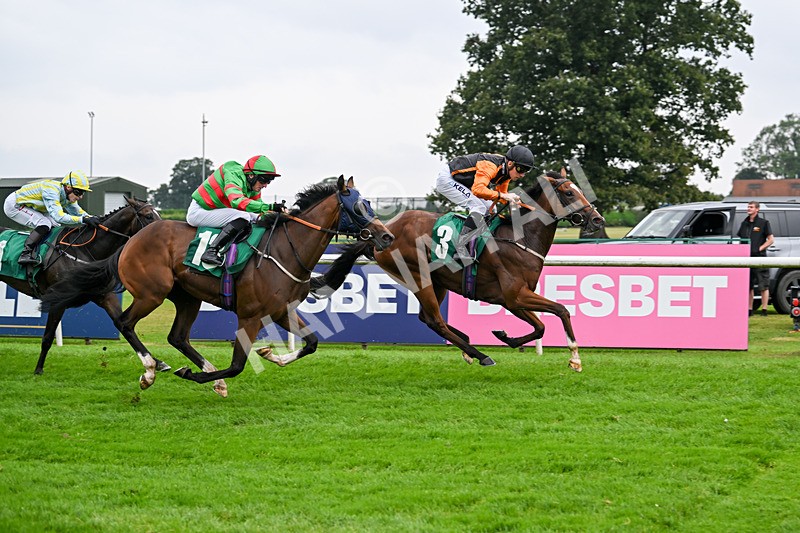 070924-Race 2-Cymbidium-7169 - Race 2