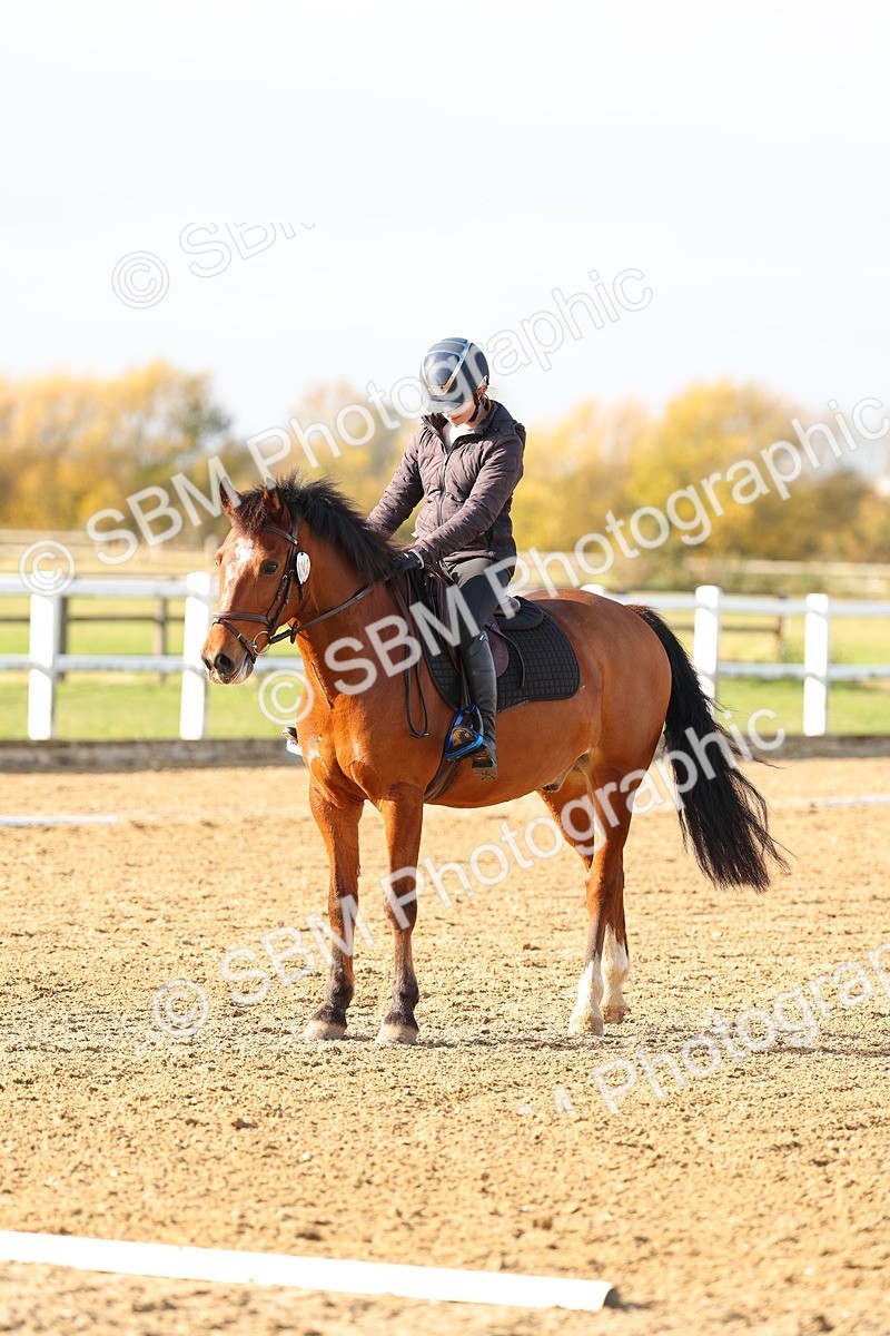 SBM_001230 - Class 13-4-9 - DR P3 CT P3 70cm CT PYO