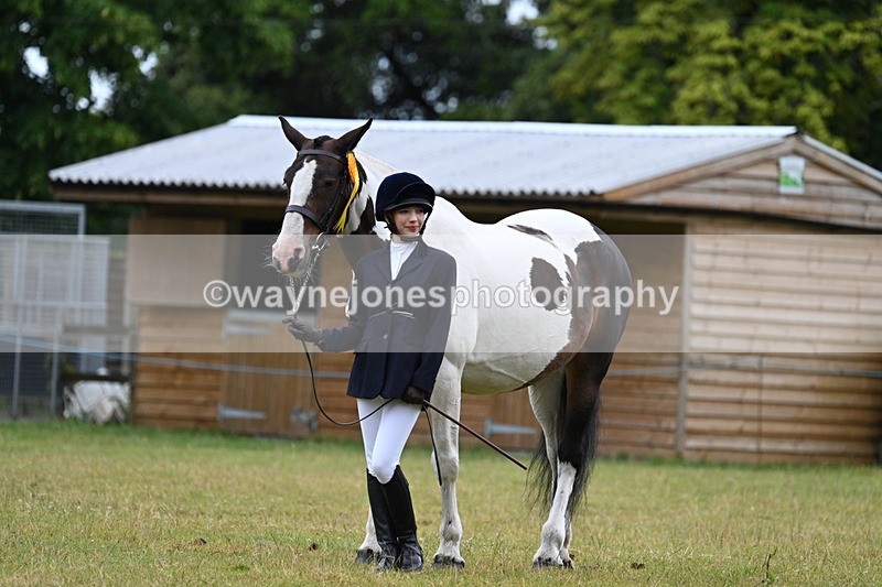 WJ7_6386 - Class 4a Prettiest Mare over 14hh